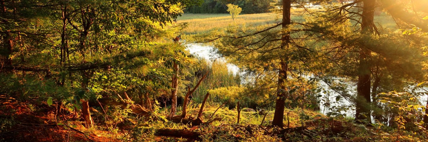 Rideau Trail Assoc. banner