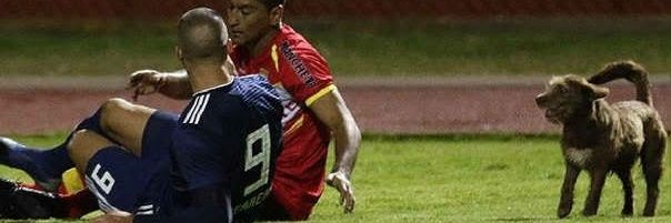 Liga1 Con Elegancia banner