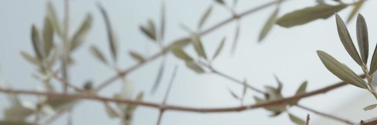 MaggieeGo's profile banner image