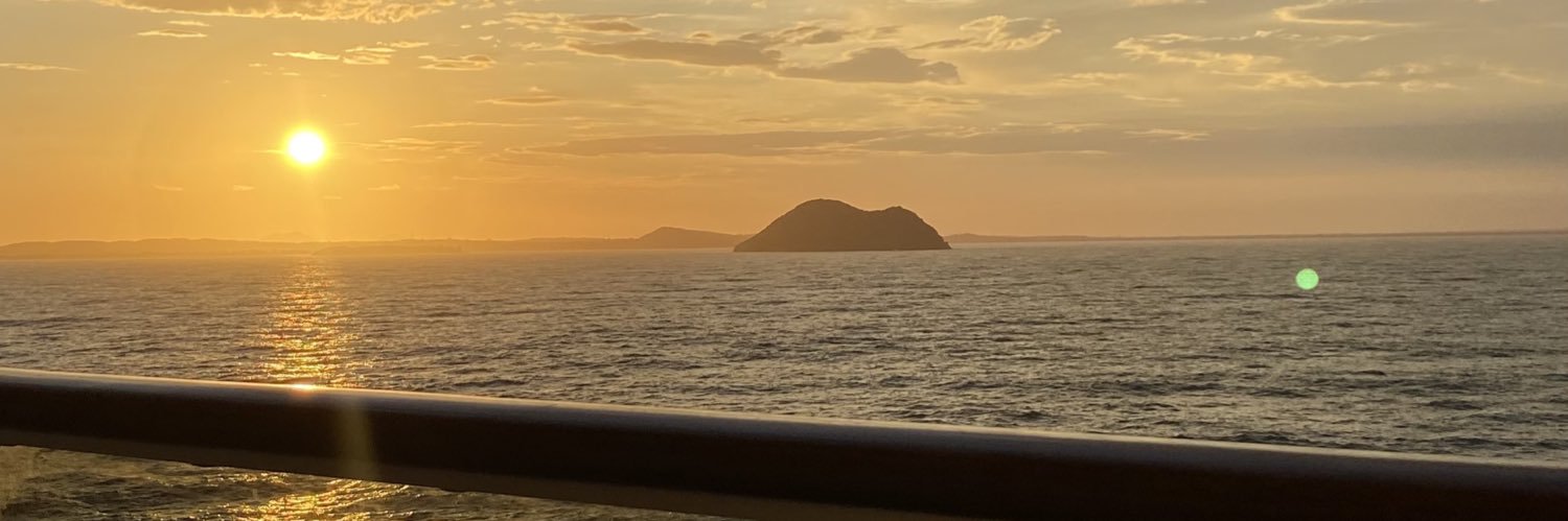 VeAraldi's profile banner image