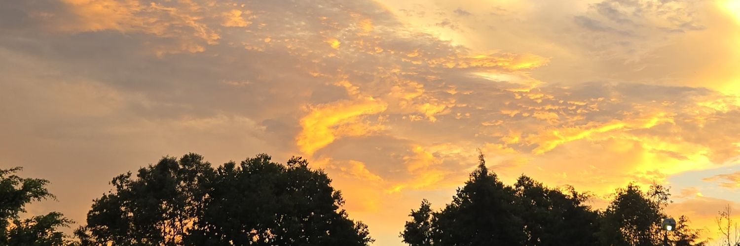 _rojaskj's profile banner image