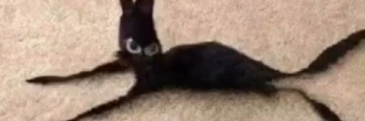 Catapimbas 2.0 banner