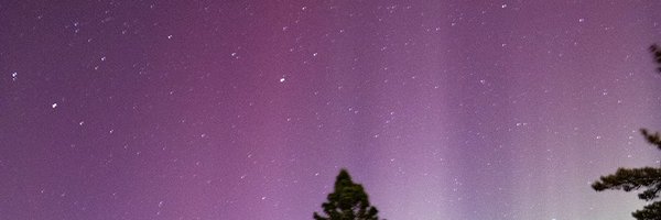 monirosestreams Profile Banner