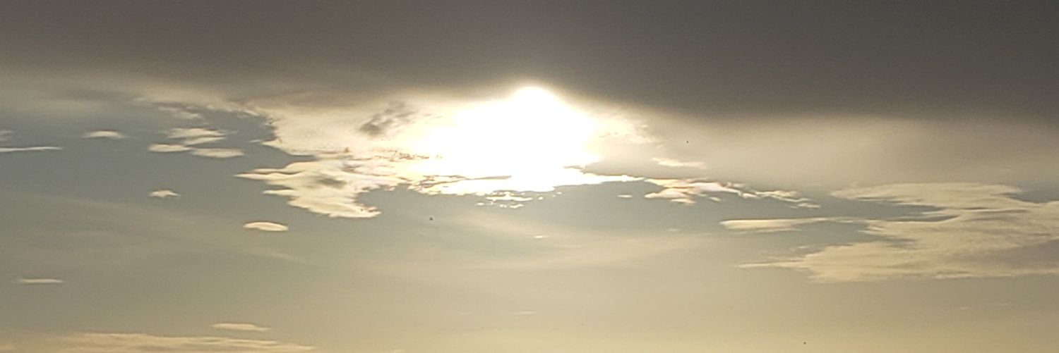 leoninor's profile banner image
