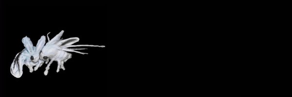 boogiesgp Profile Banner