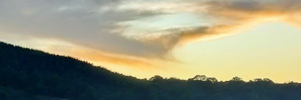 CoyoteRadiant Profile Banner