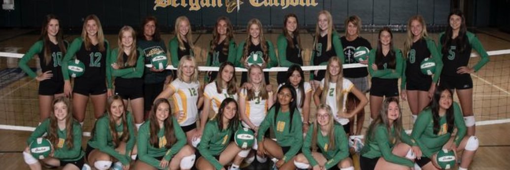 Paige Frickenstein banner