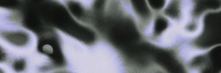 mif banner