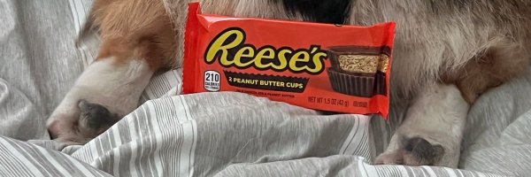 WeldingCorgiDad Profile Banner