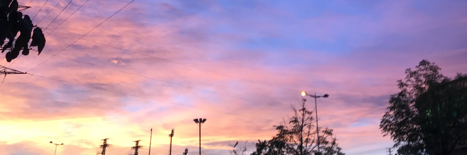anorriss banner