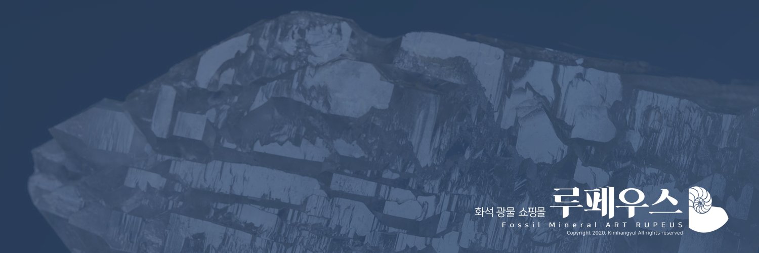 루페우스 Rupeus korea's banner