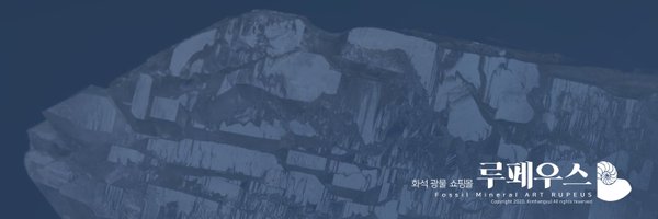 fossilmormotekr Profile Banner