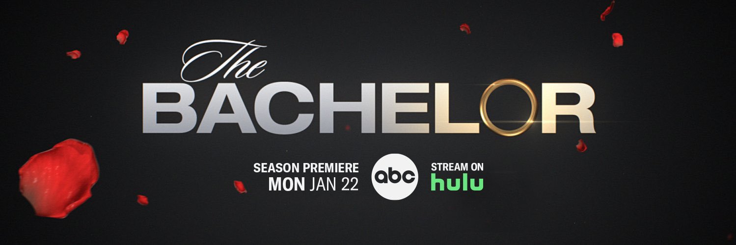 BachHo19's profile banner image