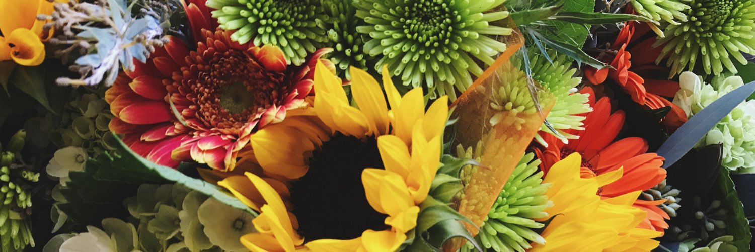 evadocouto's profile banner image