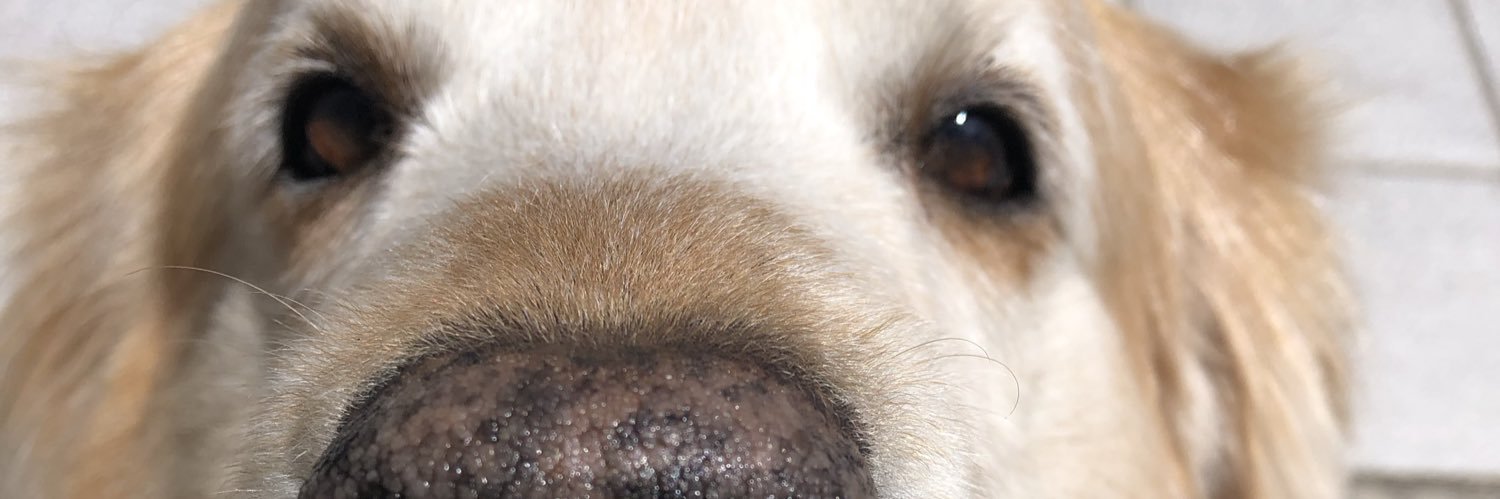 vinimgz's profile banner image