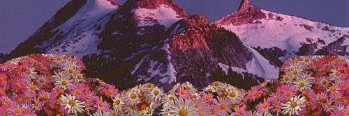 BrittanyLRiley's profile banner image
