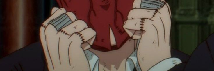 Zagniga banner