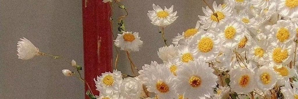 dumbassss999's profile banner image