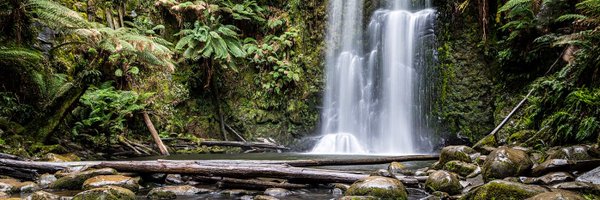 deepforestsci Profile Banner