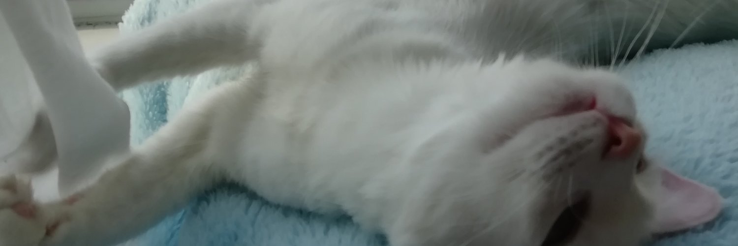 Genesis_494's profile banner image