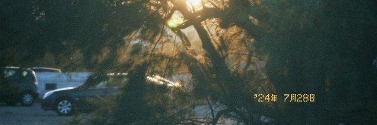 miaa ; 🍂 | raîranger's banner