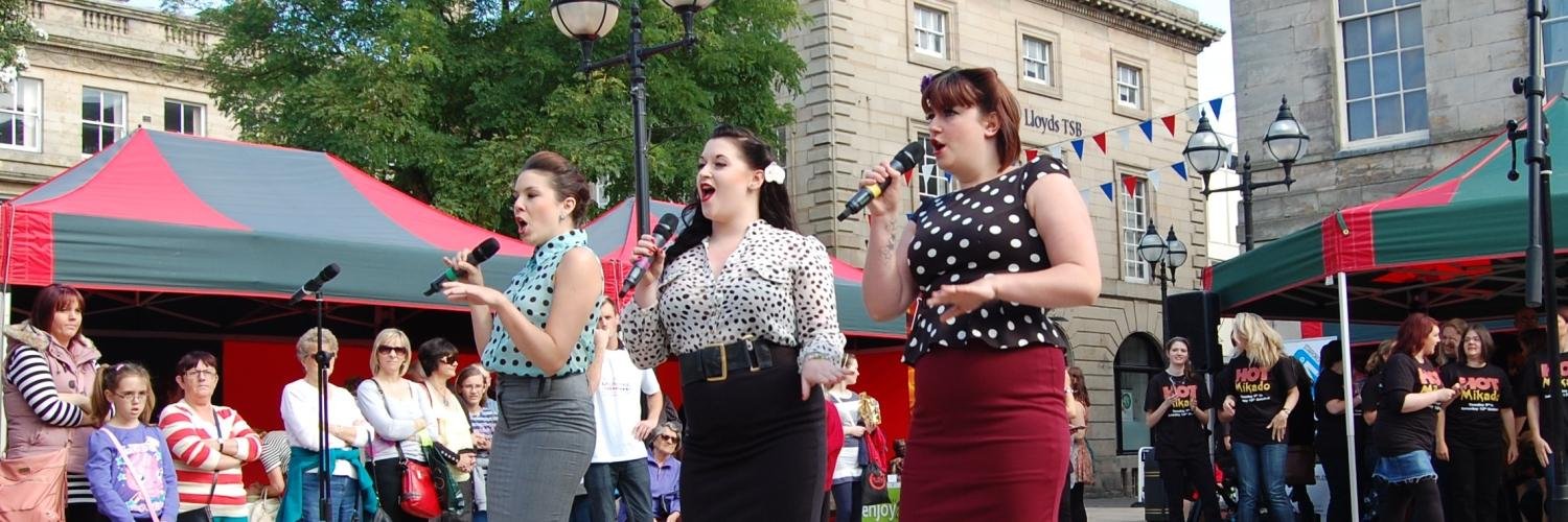 StaffsArtsFest's profile banner image
