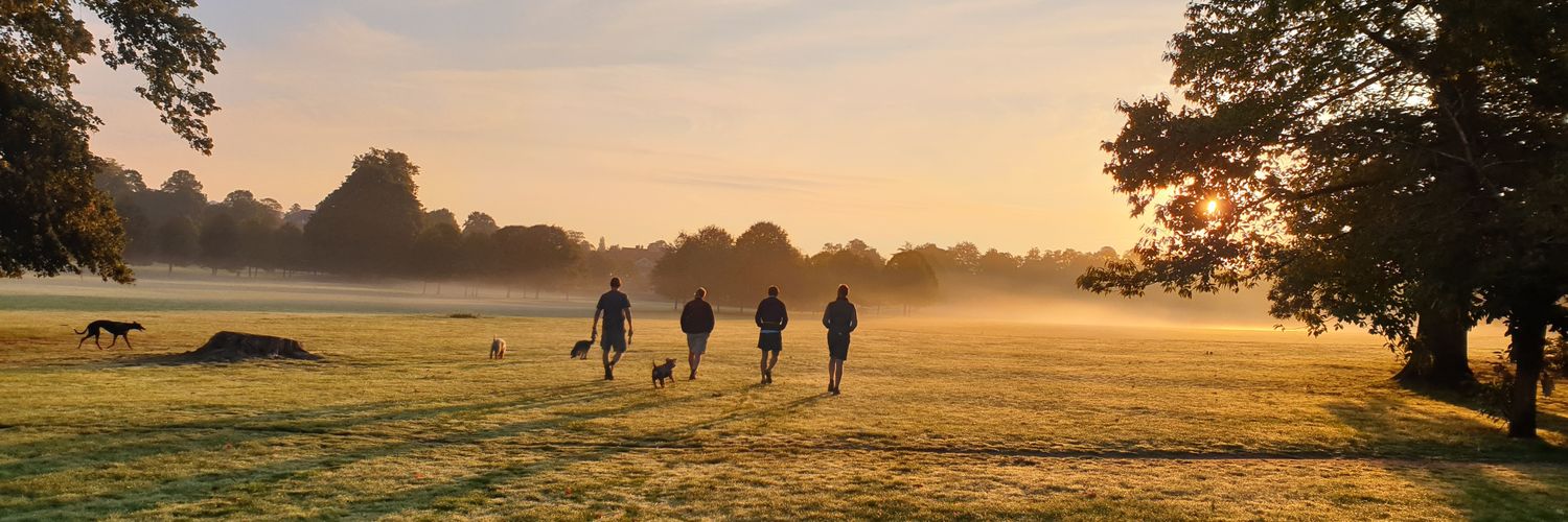 Steve Saunders banner