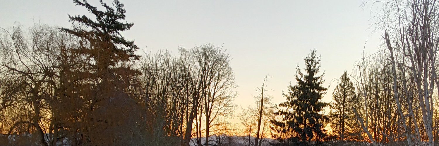 Angelicsunrize's profile banner image