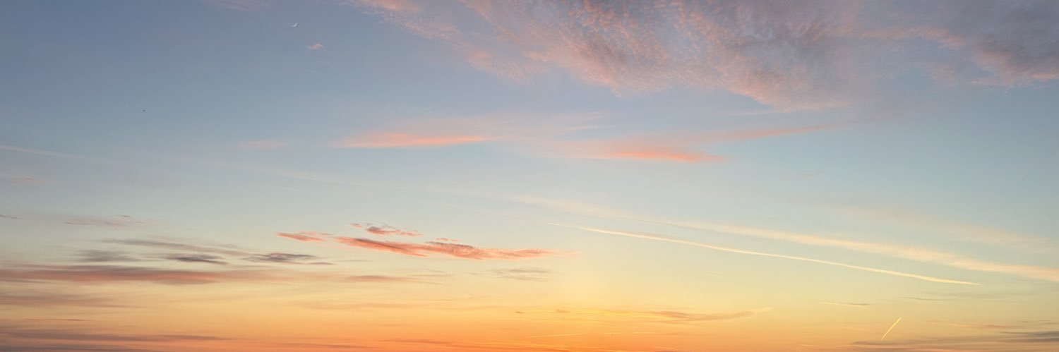 optionz banner