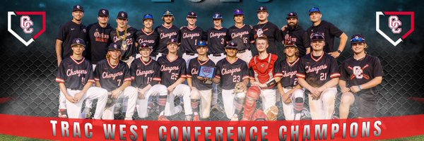 Orion_Baseball Profile Banner