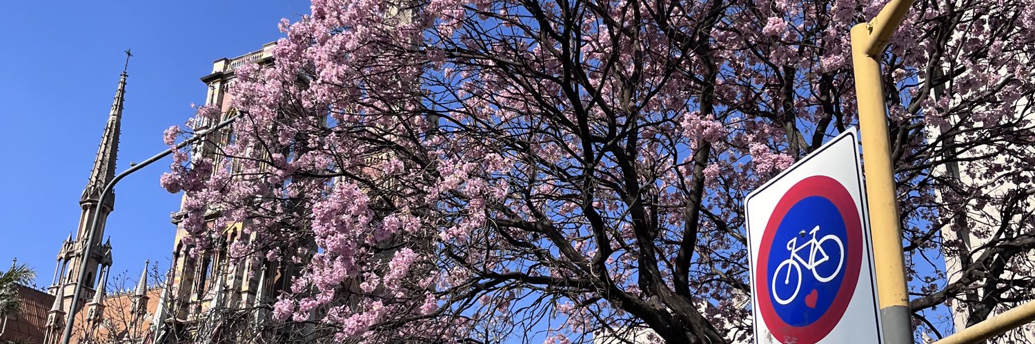 abrilcassullo's profile banner image