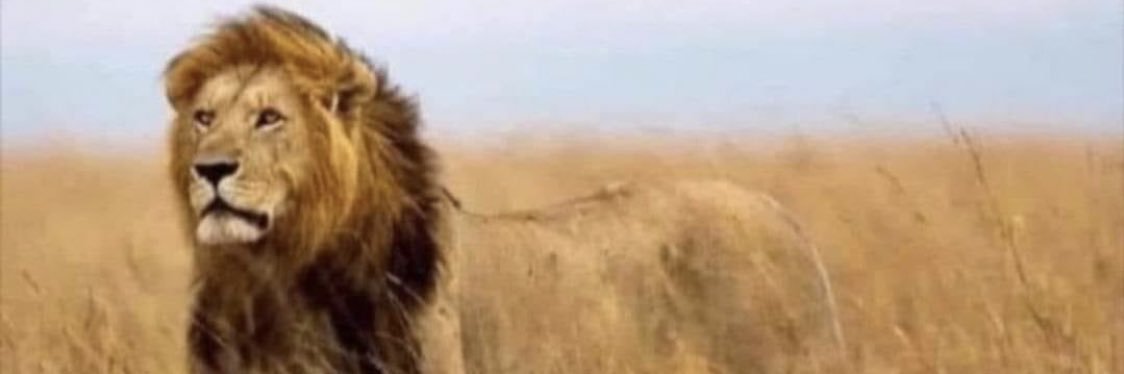 Mullah David 🤴🏽 banner