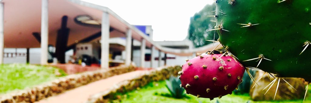 Edgar Pulido Ch banner