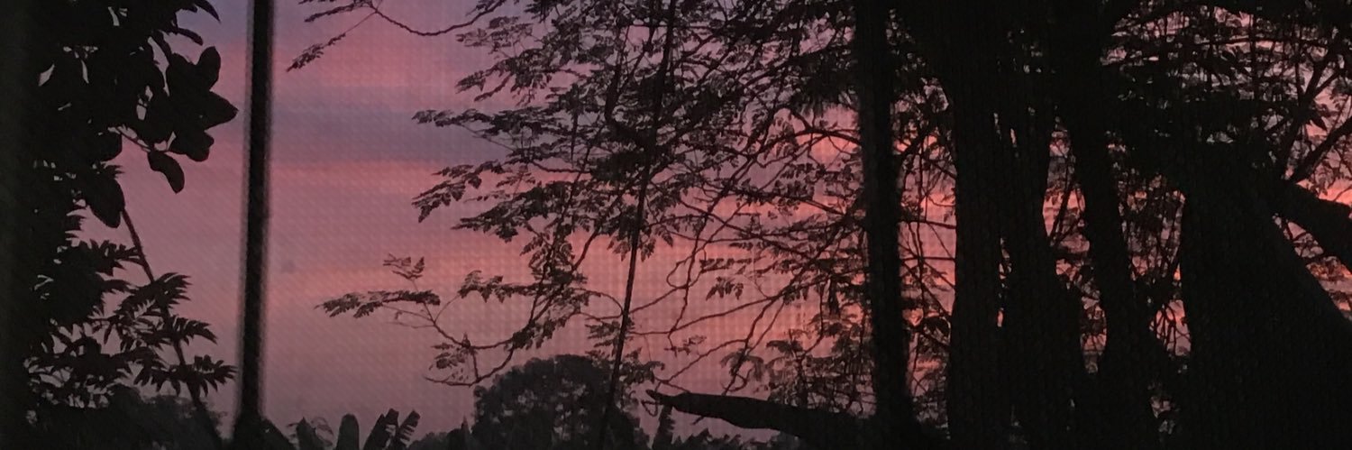 toeysii's profile banner image
