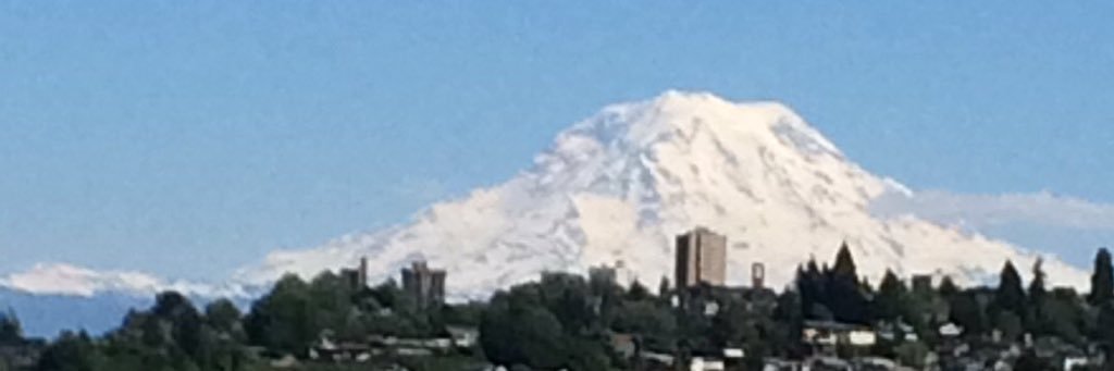 Lachezar G. Anguelov banner