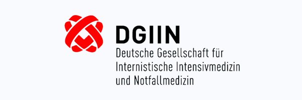 DGIIN e.V. Profile Banner