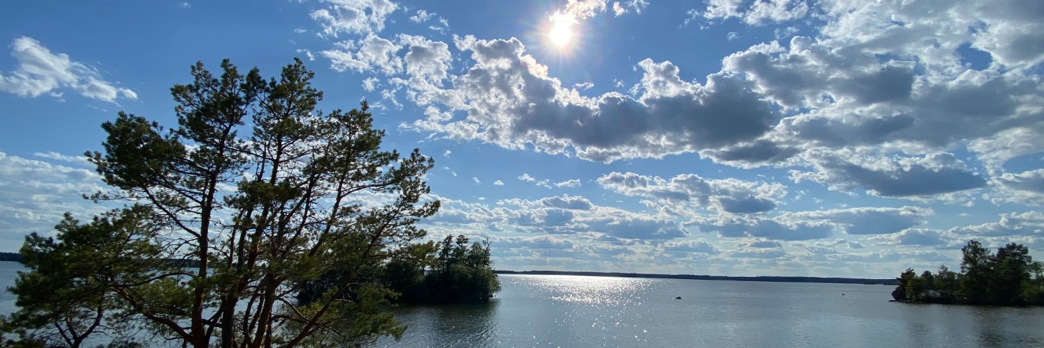 RavenRebels ∞/21M banner