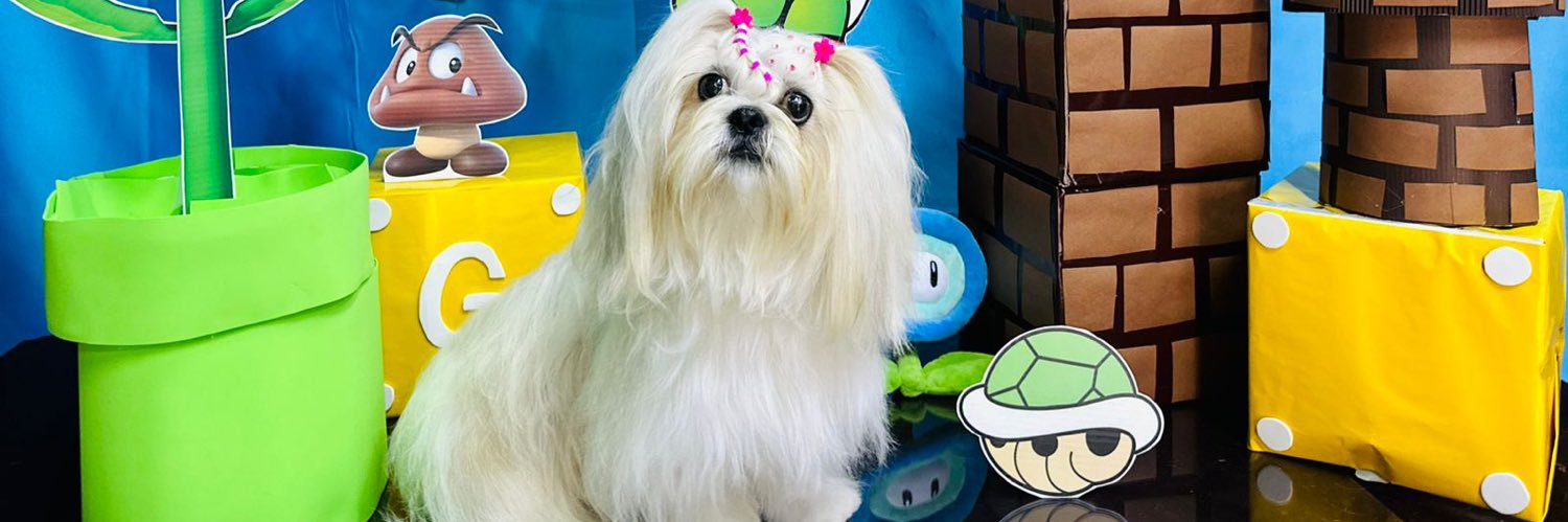 mitzi_ah's profile banner image