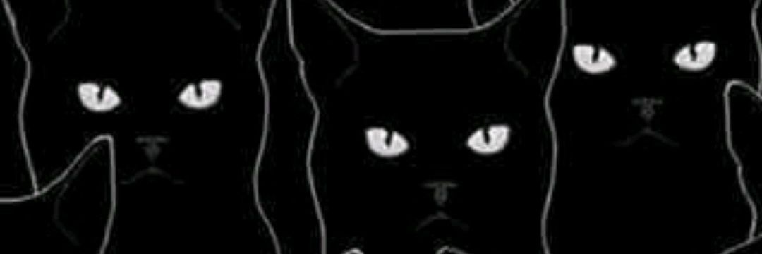 YEMP1509's profile banner image