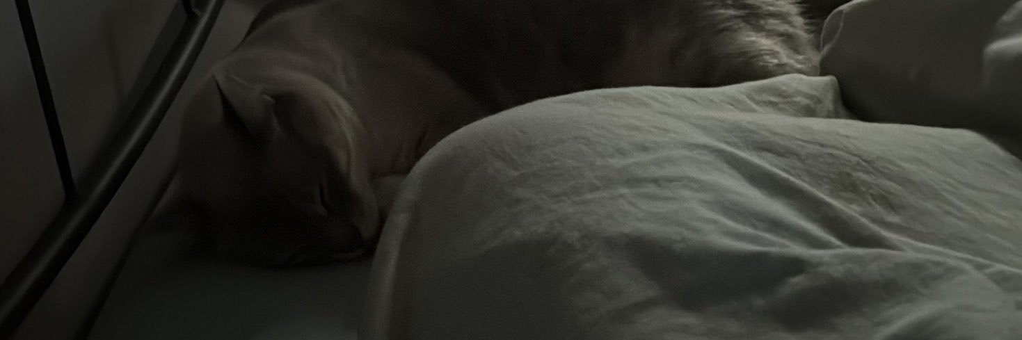 DaniAlejo200's profile banner image