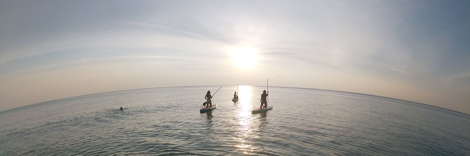 Laura Mallaband banner