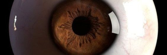 _zereloh's profile banner image
