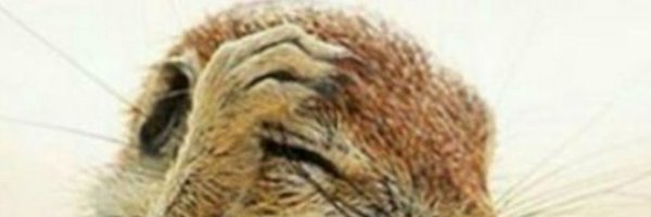 AdalbertRex Profile Banner