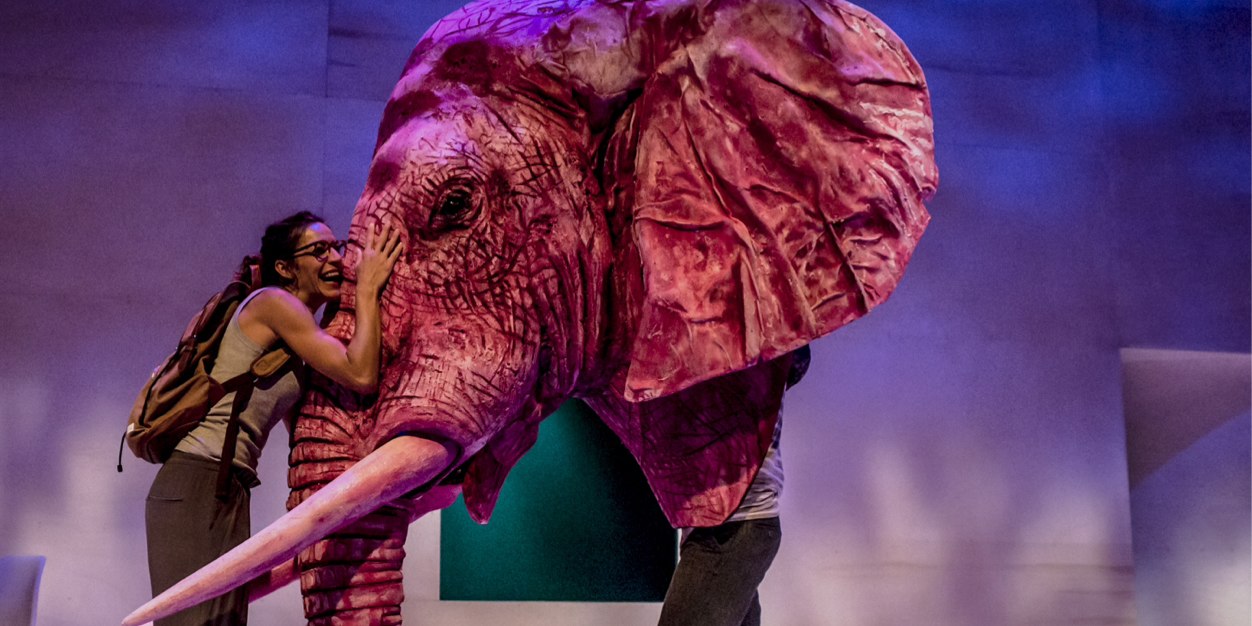 SANDRA FERRÚS banner