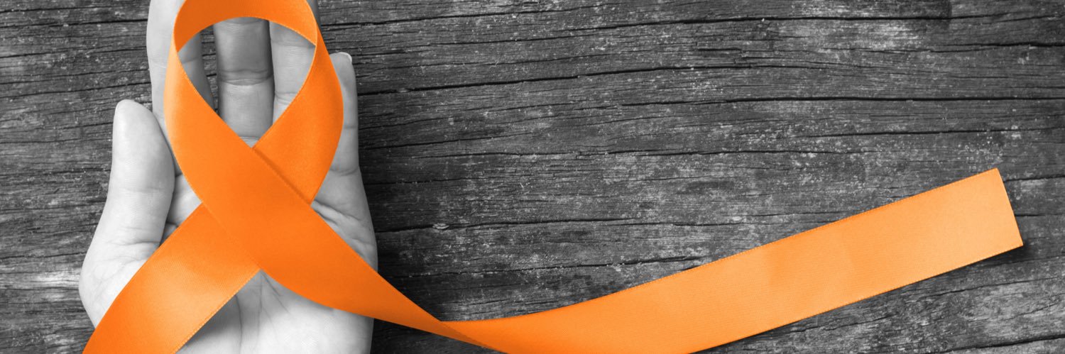 laniredd28's profile banner image
