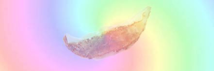 mymymaity's profile banner image