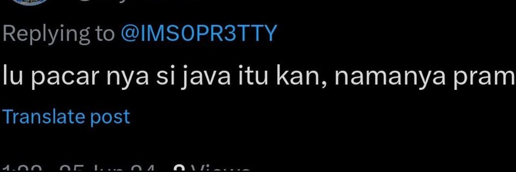 p.pramthings | busy banner