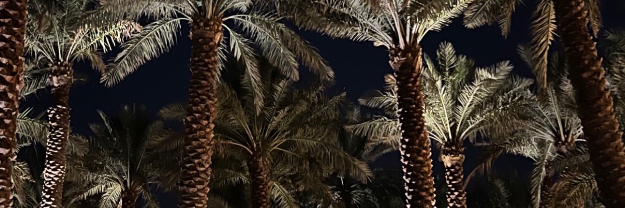 dvcrah's profile banner image
