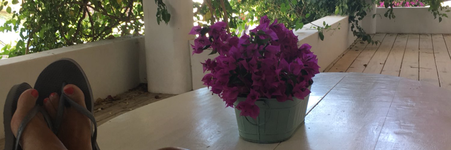 Leticia Domato banner