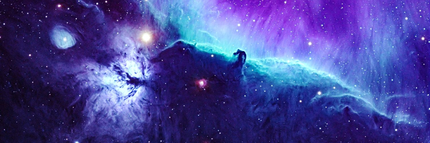 PurpSloth banner